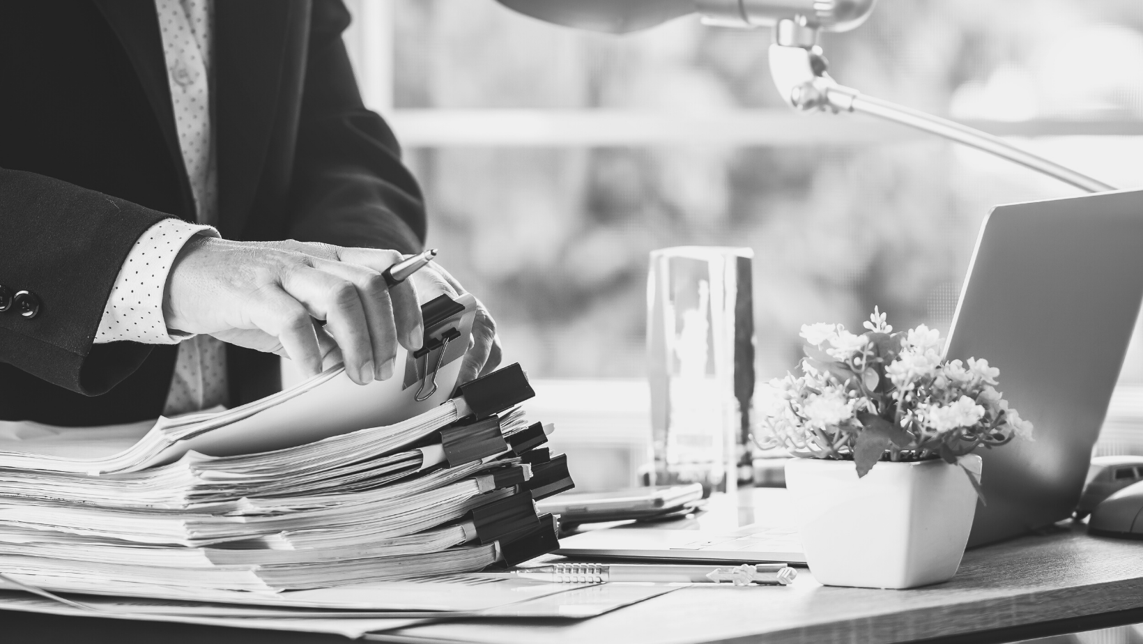 Trámites y Gestión DEHOBS